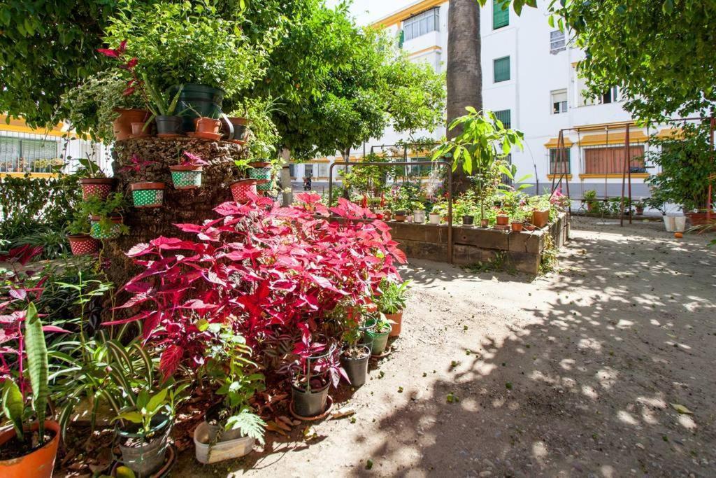 Apartamento A Los Pies Del Alcazar Sevilla Eksteriør bilde